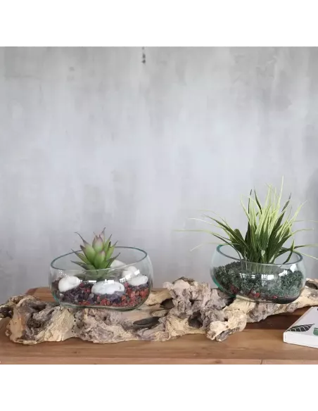 Vidrio en Soporte Doble Extragrande 70 cm | Diseño Natural y Sostenible