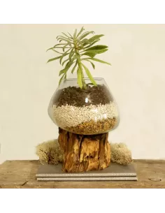 Vidrio Fundido sobre Madera | Tazón Grande Artesanal y Decorativo 2