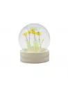 Domo de Jardín Floral Glow | Rosas Rojas, Girasoles y Luz LED Decorativa