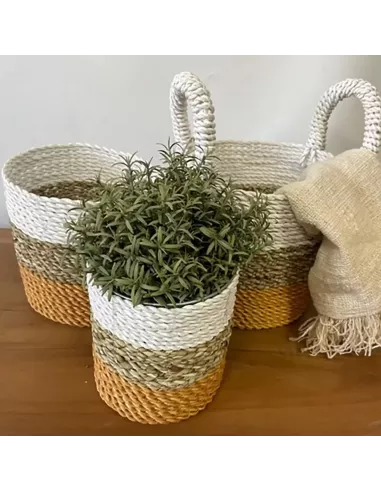 Juego de Cestas de Algas Marinas | Decoración Natural y Sofisticada