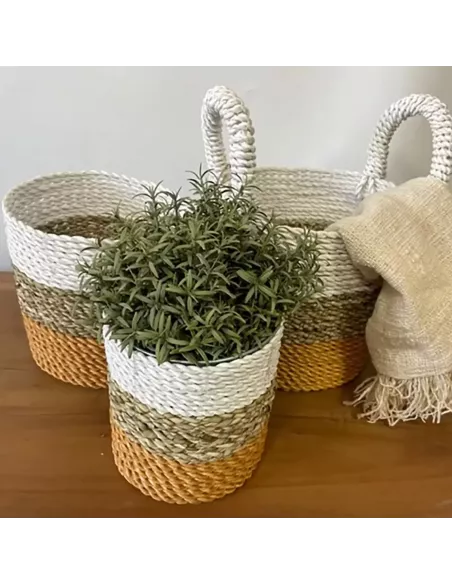 Juego de Cestas de Algas Marinas | Decoración Natural y Sofisticada
