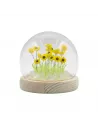 Domo de Jardín Floral Glow – Girasoles y Tulipanes LED USB | Decoración Elegante