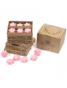 Caja de 6 ceras aromáticas vegetales Almizcle blanco