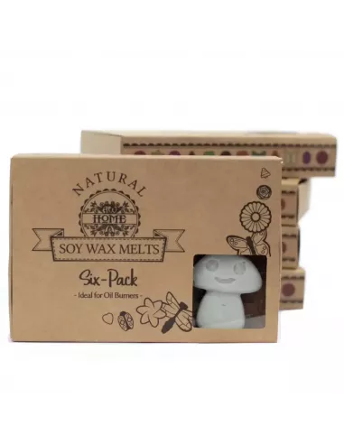 Caja de ceras de soja con forma de champiñón color gris aroma pachulí