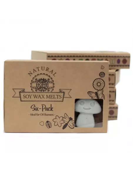Caja de ceras de soja con forma de champiñón color gris aroma pachulí