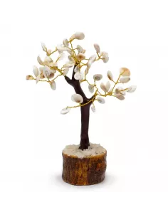 Árbol de Piedra Chakra Gomati en Círculo de Madera | Abonica