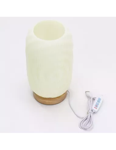 Lámpara Moderna USB | 3 Ajustes | Abonica